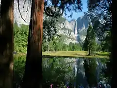 bosque con lago bonito mensaje eli red