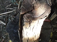 DSCF0969 DSCF0969