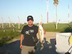 Pescado con ale