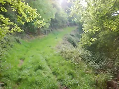 DSCN2099 DSCN2099
