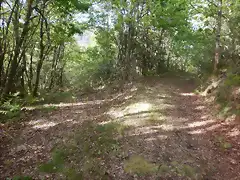 DSCN2098 DSCN2098
