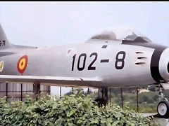 16176
