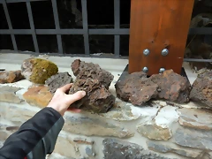 DSCN3114 DSCN3114