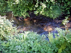 DSCN2420