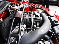 P3220327 P3220327
