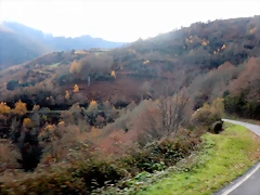 DSCN2222