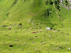 IMG_7412 IMG_7412