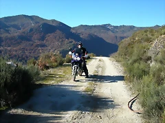 DSCN6893 DSCN6893