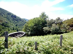 DSCN8330 DSCN8330