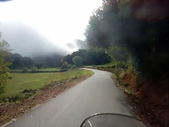 DSCN2990 DSCN2990