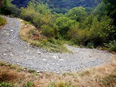 DSCN7944 DSCN7944