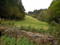 DSCN9209 DSCN9209