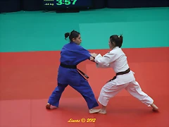 IMG_4941 IMG_4941