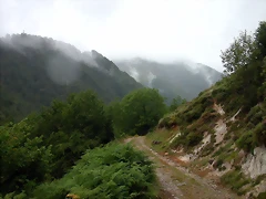 DSCN4265 DSCN4265