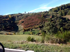 DSCN0082 DSCN0082