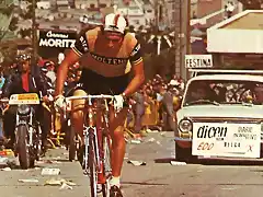 MERCKX-MONYJUIT