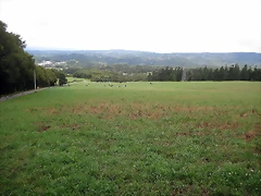 IMG_0204 IMG_0204