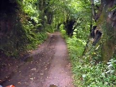 DSCN4755 DSCN4755