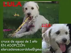 LULA Crdoba