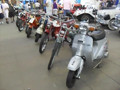 SDC14378 SDC14378