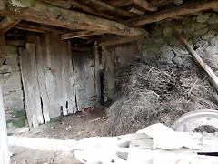 DSCN9977 DSCN9977