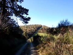 DSCN8838 DSCN8838