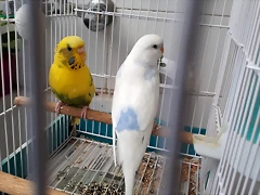 20180831_103139