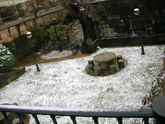 DSCN7519