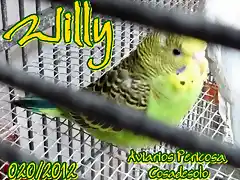 2012 020 WILLY