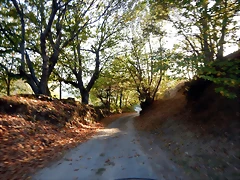 DSCN8615