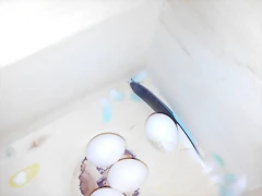 IMG_20160121_145715