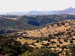 24, adis a la sierra, marca