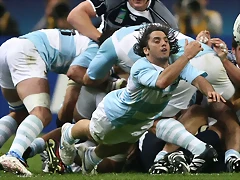 agustin-pichot-palomita