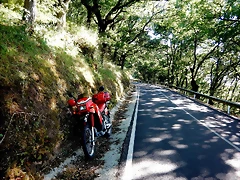 DSCN6776 DSCN6776