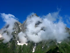IMG_7386 IMG_7386