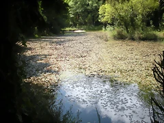 DSCN5312 DSCN5312