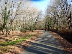 DSCN2880 DSCN2880