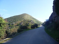 P1010272 P1010272