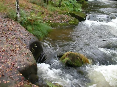 DSCN5775 DSCN5775
