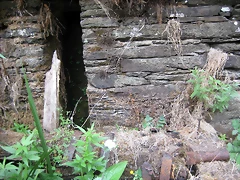 IMG_0296 IMG_0296