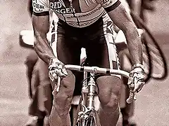 HINAULT-1985-86