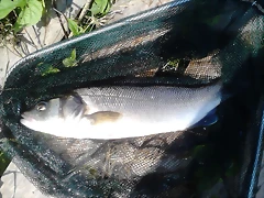 IMG-20140727-WA0005