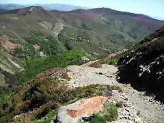 DSCF2534 DSCF2534