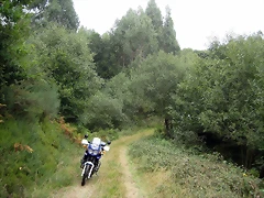 IMG_0248 IMG_0248
