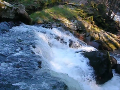 DSCN1518 DSCN1518