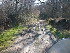 DSCN1539 DSCN1539