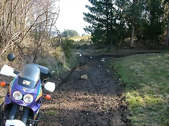 DSCN1544 DSCN1544
