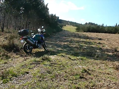 DSCN1542 DSCN1542