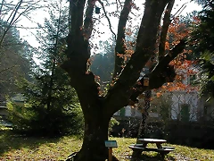 DSCN1472 DSCN1472
