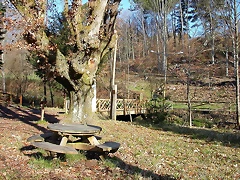 DSCN1474 DSCN1474